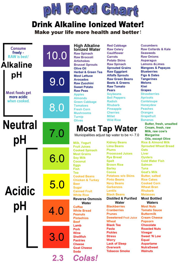 Most Accurate Acid Alkaline Food Chart